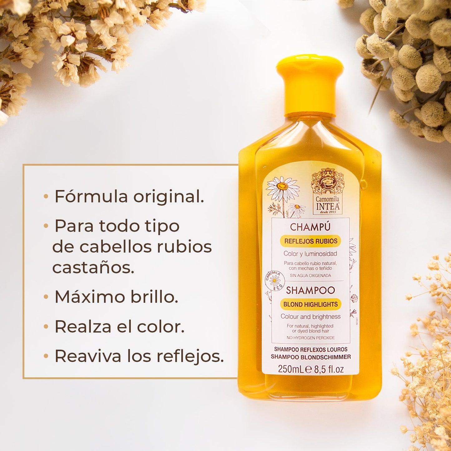 2 Kit's Rubio Natural