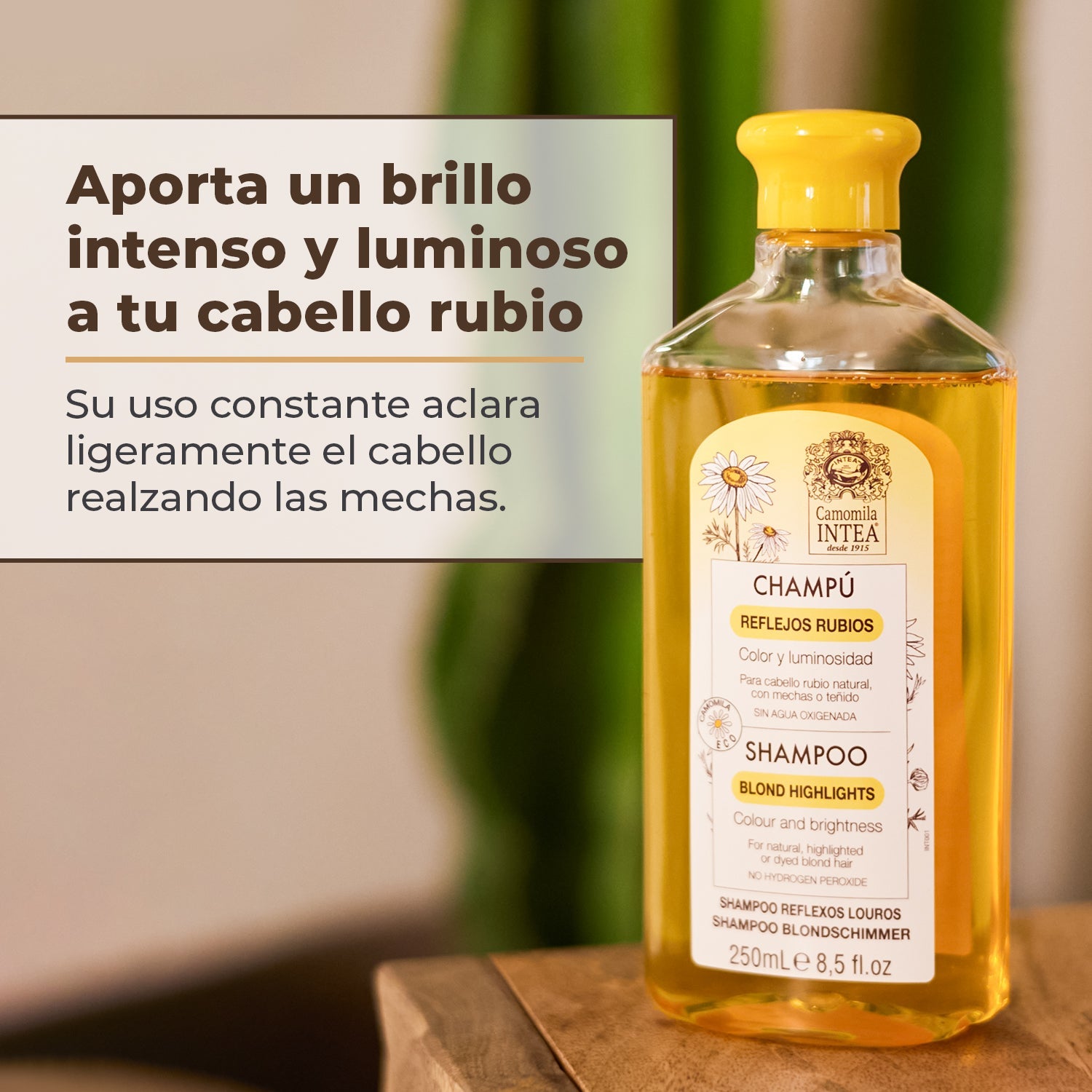 Champú Camomila Reflejos Rubios - Yeliana Beauty Mexico
